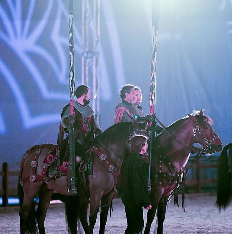 استعراضات الفروسية بمهرجان الجنادرية