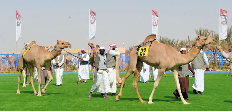 مهرجان سلطان بن زايد التراثي مهرجان سلطان بن زايد التراثي 2018