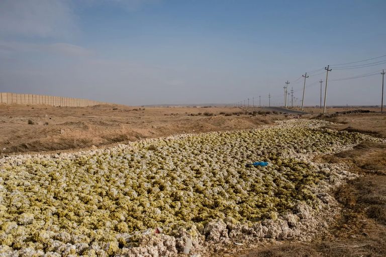الكبريت تسرب إلى التربة الزراعية مبان دمرت جراء الاشتباكات في الموصل