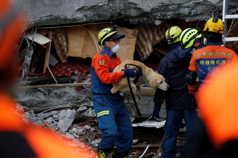  قوات الدفاع يواصلون إنقاذ الضحايا