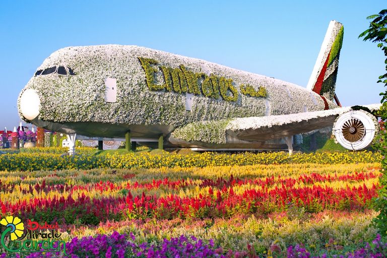ميراكل جاردن في دبي