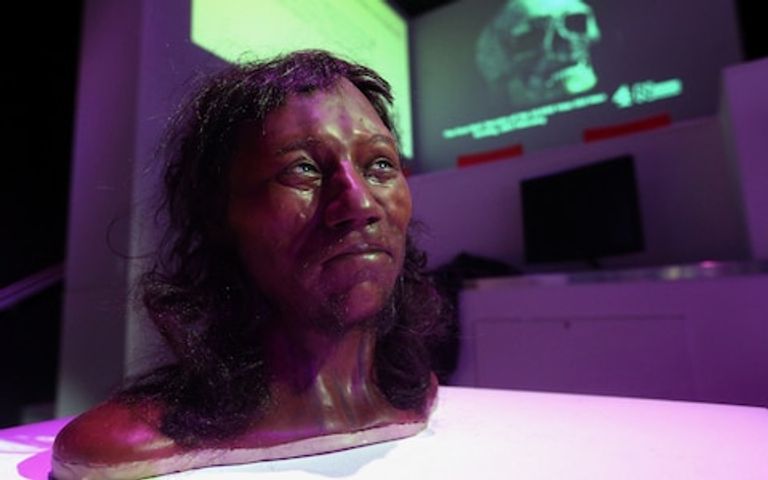 تصور للرجل البريطاني الأول شكل الإنسان البريطاني الأول بعد تحليل الجينات