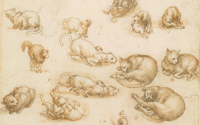 العلماء أبقوا على الورق بعد أن لاحظوا غرابة مادته