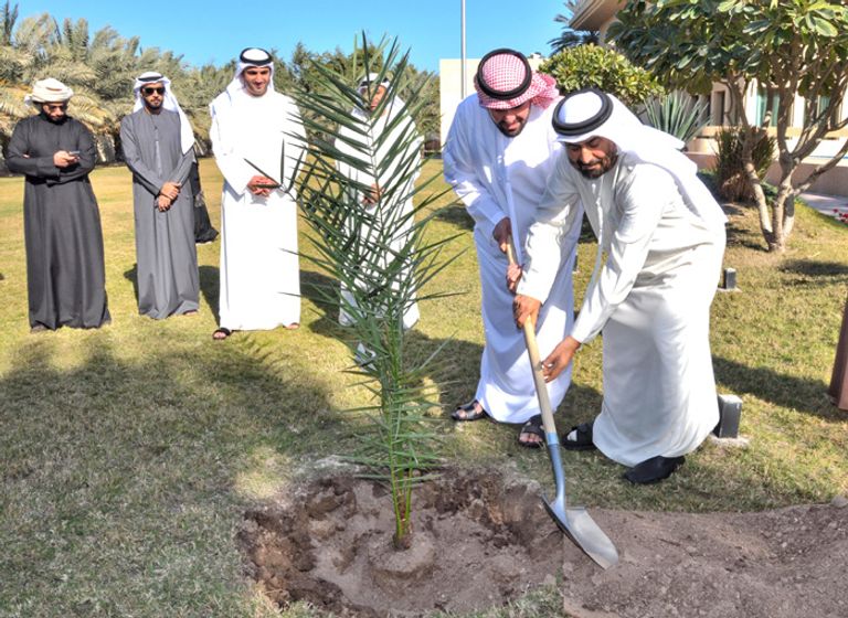 السفير الإماراتي لدى الكويت وحسين الجسمي يزرعان "نخلة زايد" حسين الجسمي مع أعضاء السفارة الإماراتية بالكويت