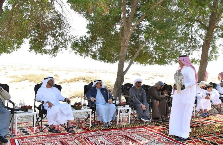 الشيخ محمد بن زايد آل نهيان يلتقي ملك البحرين