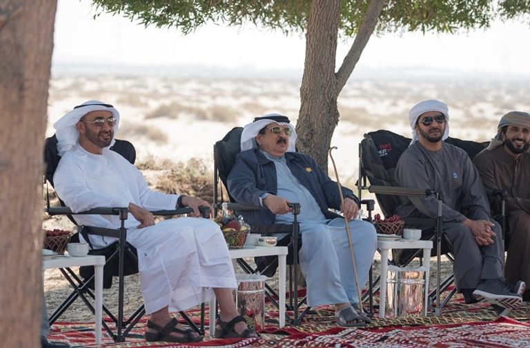 الشيخ محمد بن زايد آل نهيان يلتقي ملك البحرين