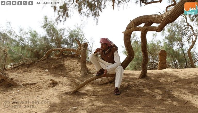 جولة تفقدية لآبار عيون موسى بسيناء 