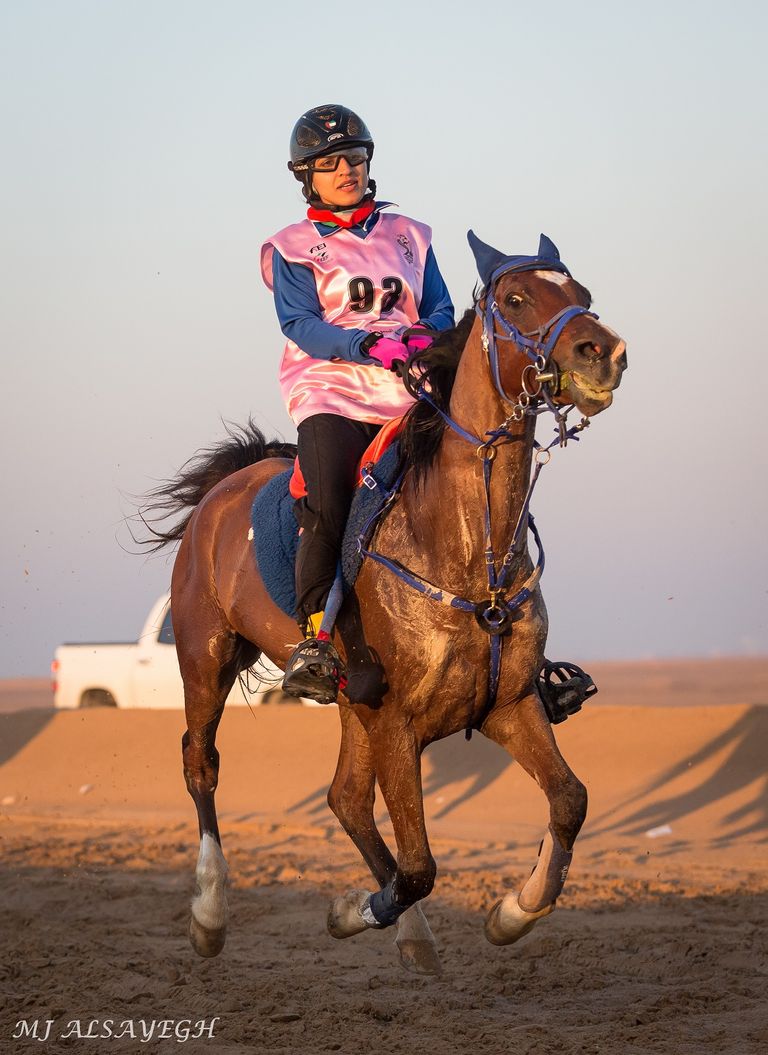 القافلة الوردية تنطلق من الشارقة بمشاركة 150 فارسا