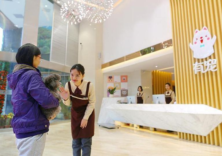 صالون تجميل للحيوانات الأليفة بالصين 