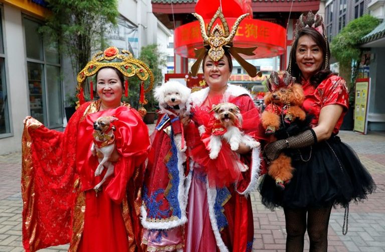 عيد الربيع الصيني - عام الكلب