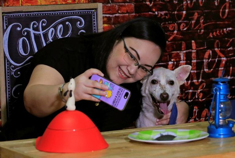 لقاء شاعري مع الكلاب بمناسبة عيد الحب