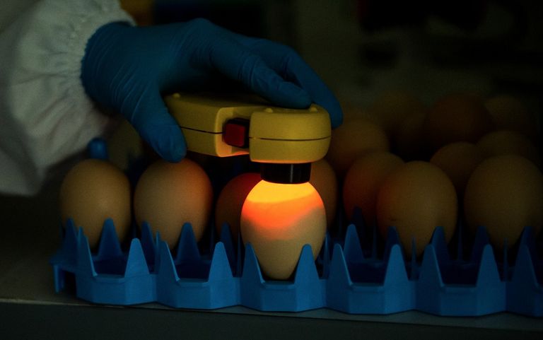 أحد مختبرات جهاز أبوظبي للرقابة الغذائية