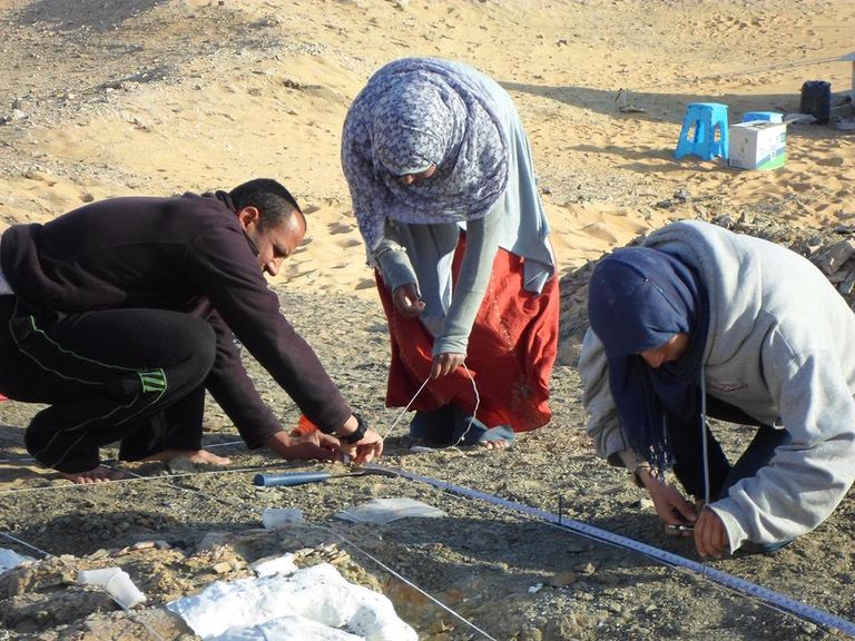 الفريق واجه صعوبات كبيرة في الصحراء الباحثات في موقع استخراج الديناصور بالواحات