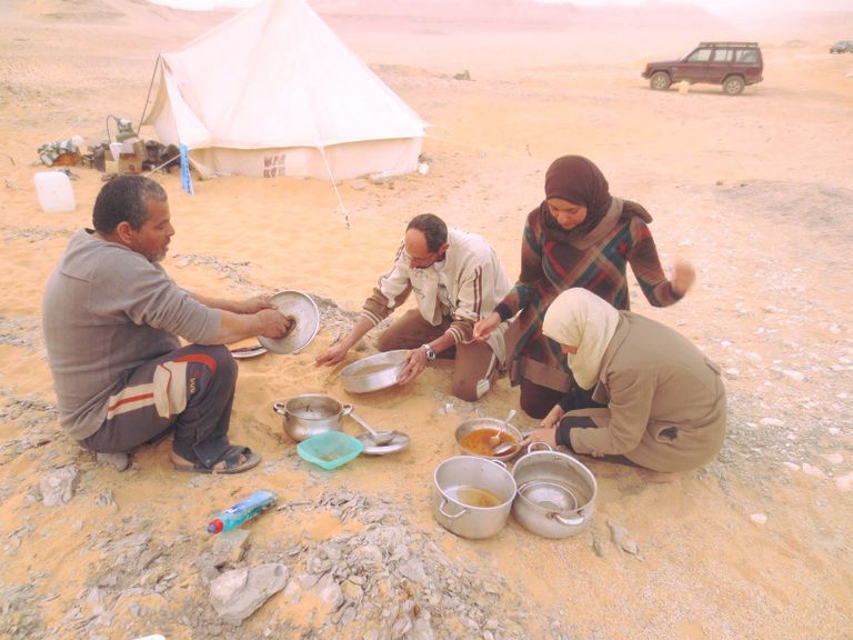 الصحراء كانت إحدى العقبات التي واجهت الفريق الباحثات في موقع استخراج الديناصور بالواحات
