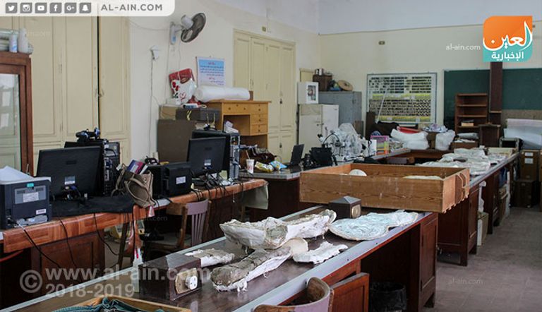 بقايا الديناصور منصوراسورس تجري دراستها في جامعة المنصورة الباحثات في موقع استخراج الديناصور بالواحات