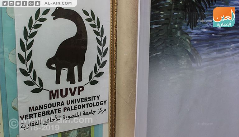 منصوراسورس فتح الباب أما اكتشافات أخرى الباحثات في موقع استخراج الديناصور بالواحات