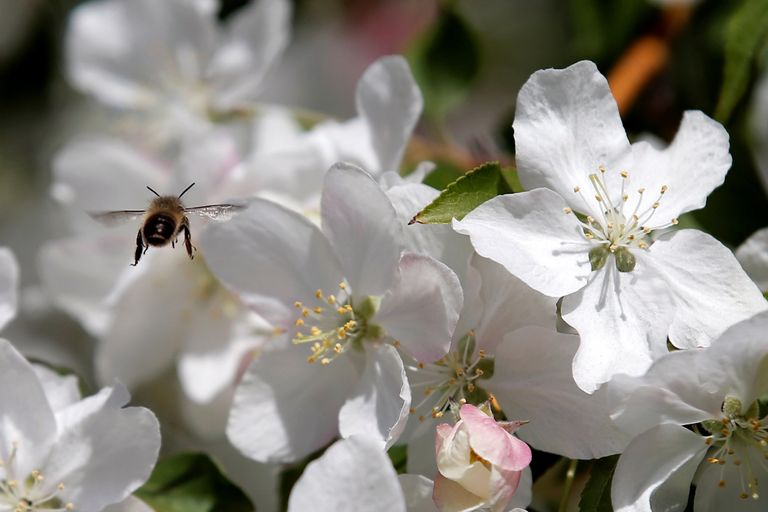 طقوس الاحتفال بعيد الحب في 8 دول