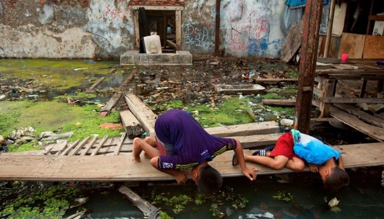 أطفال يبحثون عن ثعابين أزمة الثعابين في جاكرتا