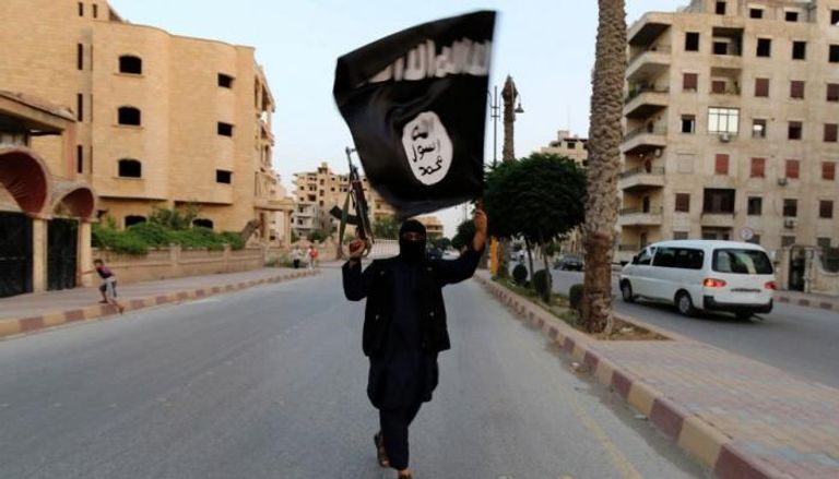 أحد عناصر تنظيم داعش الإرهابي-أرشيفية