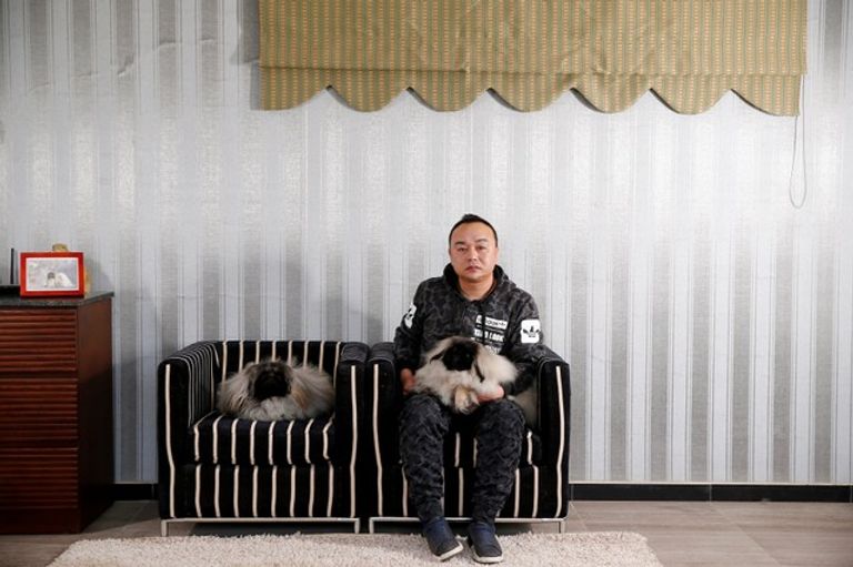 الكلب البكيني الإمبراطوري 