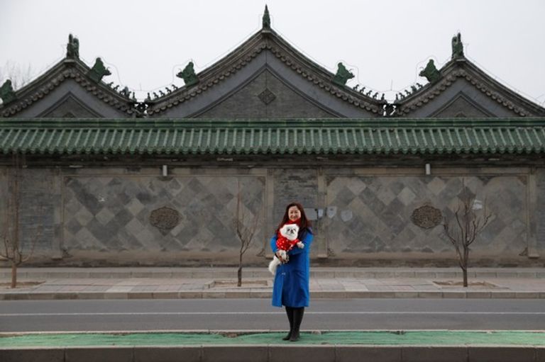 الكلب البكيني الإمبراطوري 