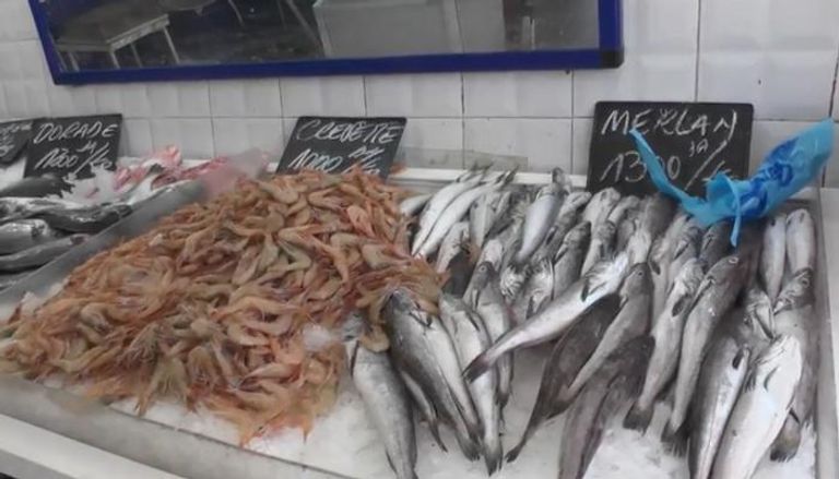 مدينة صحراوية في الجزائر تصدر السمك إلى تونس