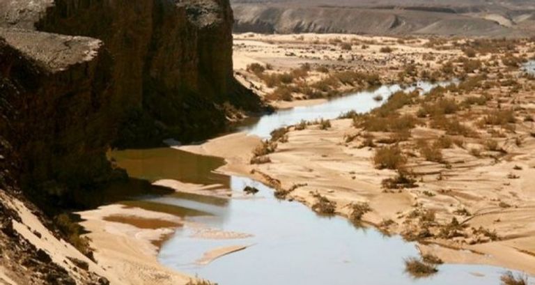 جرف التربة بولاية بشار مدينة صحراوية في الجزائر تصدر السمك إلى تونس