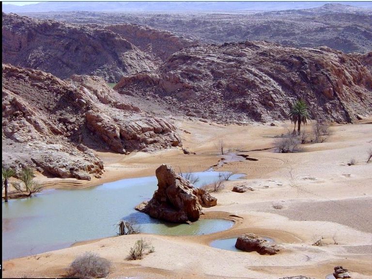 حوض بريزينة مدينة صحراوية في الجزائر تصدر السمك إلى تونس