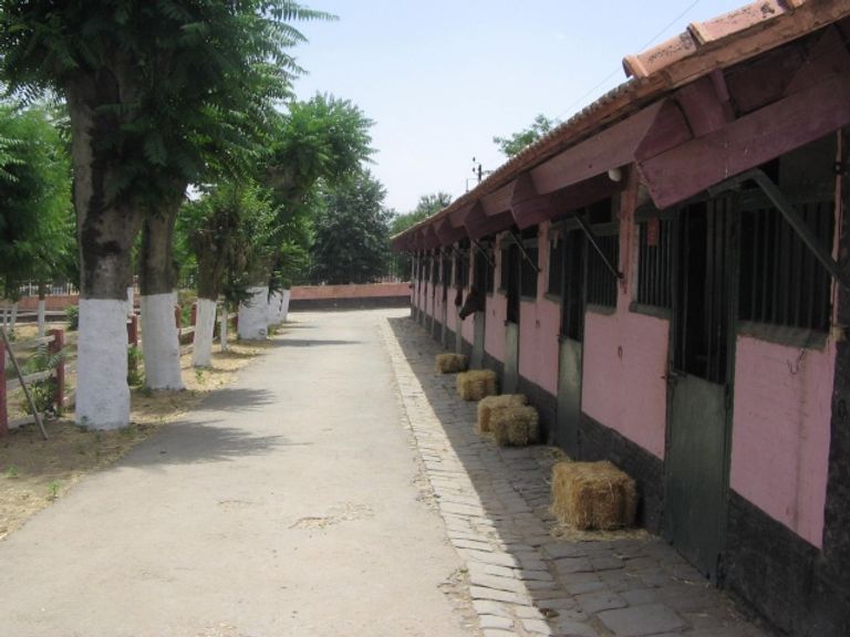 من داخل حظيرة شاشاوى 