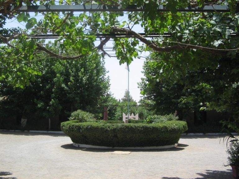 من داخل حظيرة شاشاوى 