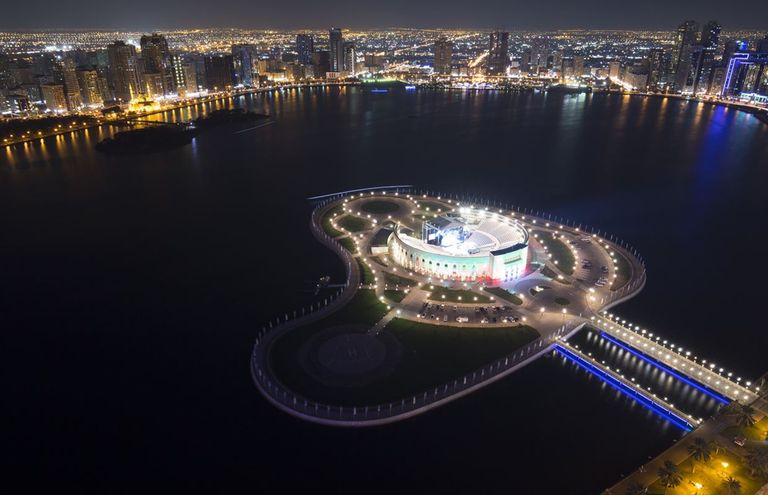 الفنان الهندي عدنان سامي