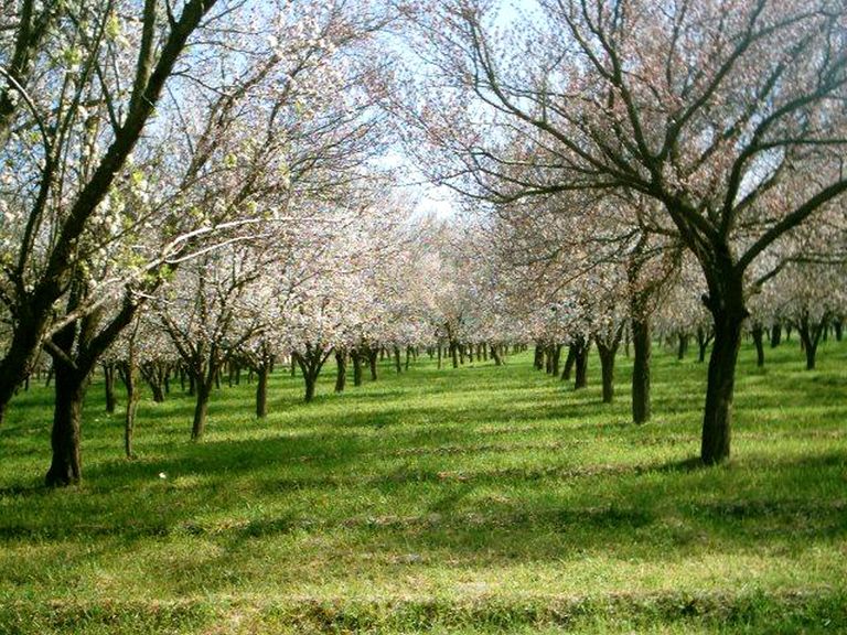آثار الدمار الذي خلفه القصف في الغوطة الشرقية