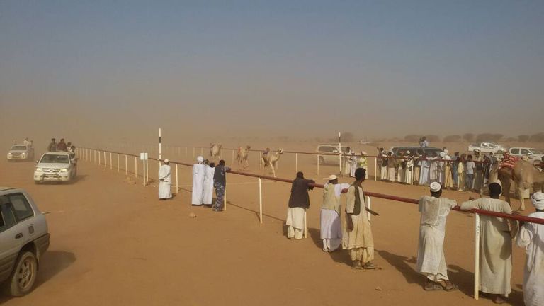 مهرجان الهجن بالسودان من فعاليات سباق الهجن بالسودان