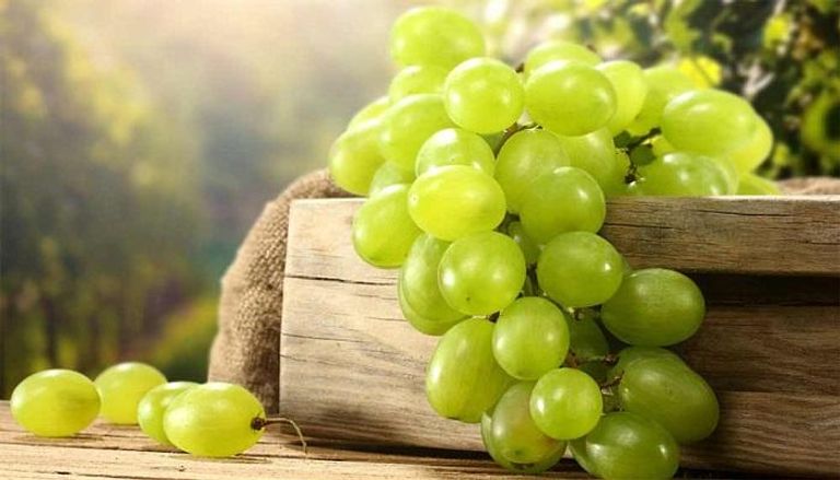 العنب له العديد من الفوائد للصحة والبشرة والشعر