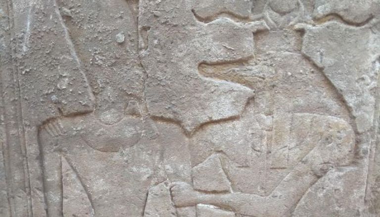 جزء من تمثال جداري ضخم من الحجر الرملي للملك رمسيس الثاني