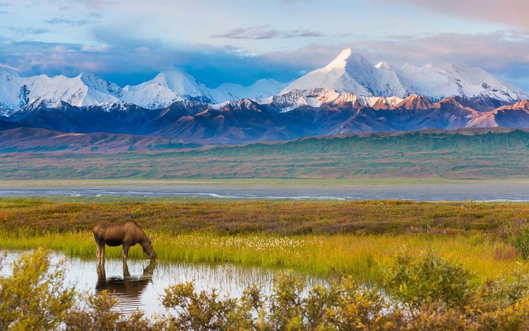 قصر نويشفانشتاين في ألمانيا