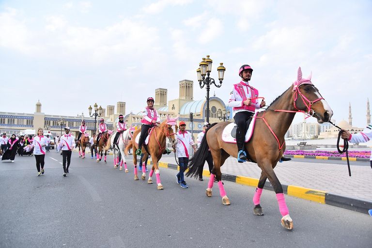 مسيرة فرسان القافلة الوردية الثامنة