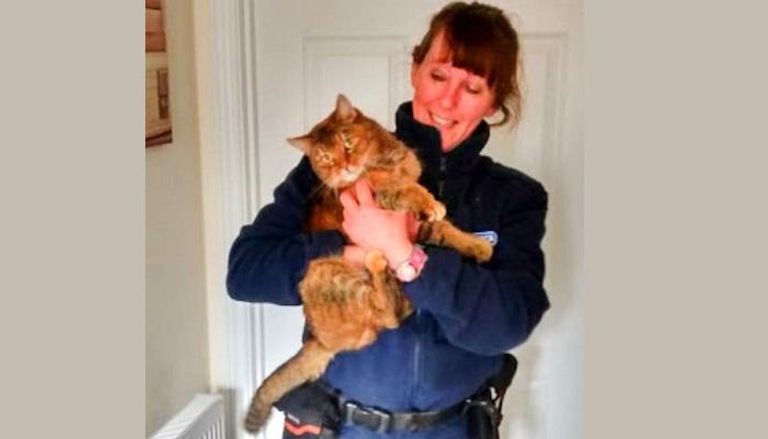 عاملة الإنقاذ تحتضن القطة
