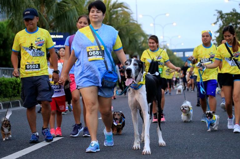 "بت اكسبرس دوجي رن" سباق للكلاب لجمع تبرعات