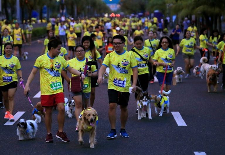"بت اكسبرس دوجي رن" سباق للكلاب لجمع تبرعات