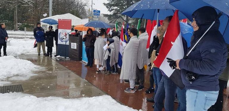 المحتجون نددوا بكارثة زرع الألغام التي وضعها الحوثيون جانب من مظاهرة اليمنيين في جنيف