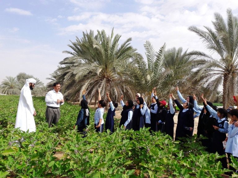 مركز خدمات المزارعين بأبوظبي يُوعّي الطلاب بأهمية الزراعة