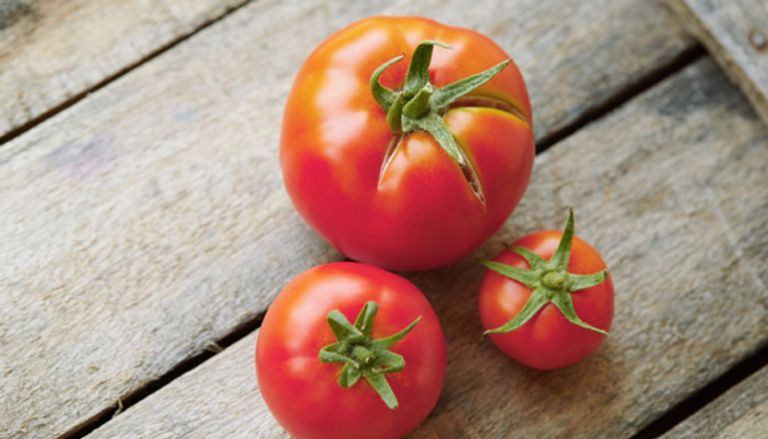 الطماطم التغذية السليمة تساعد على دعم مناعة الأطفال