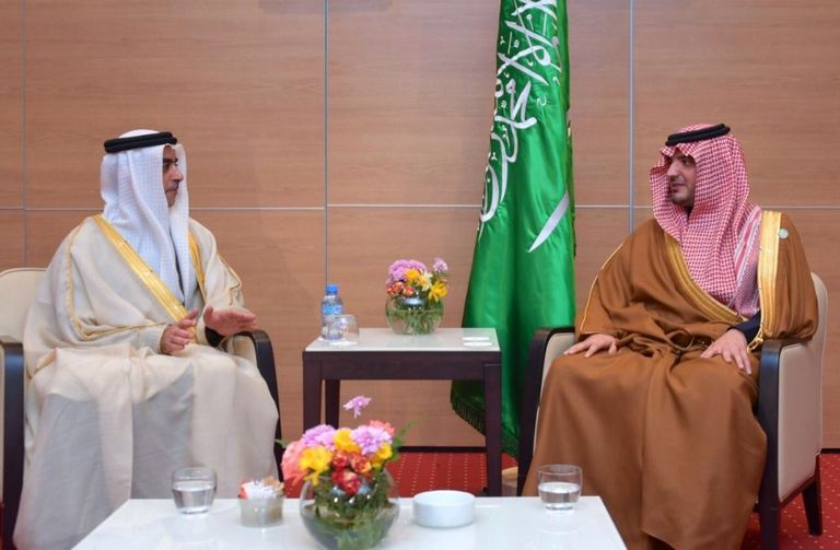 الفريق الشيخ سيف بن زايد آل نهيان مع وزير الداخلية السعودي