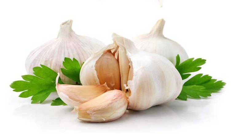 البصل الأبيض من أقوى المضادات لمرض السرطان