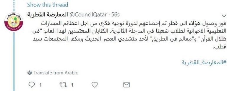 تظاهرات ضد الدعم القطري للإرهاب - أرشيفية