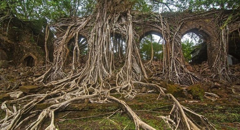 جزيرة تصبح مدينة أشباح