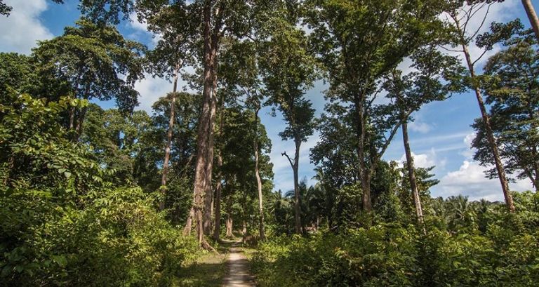 جزيرة تصبح مدينة أشباح