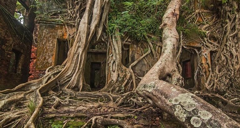 جزيرة تصبح مدينة أشباح