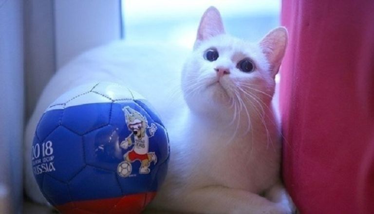 كأس العالم 2018 بروسيا